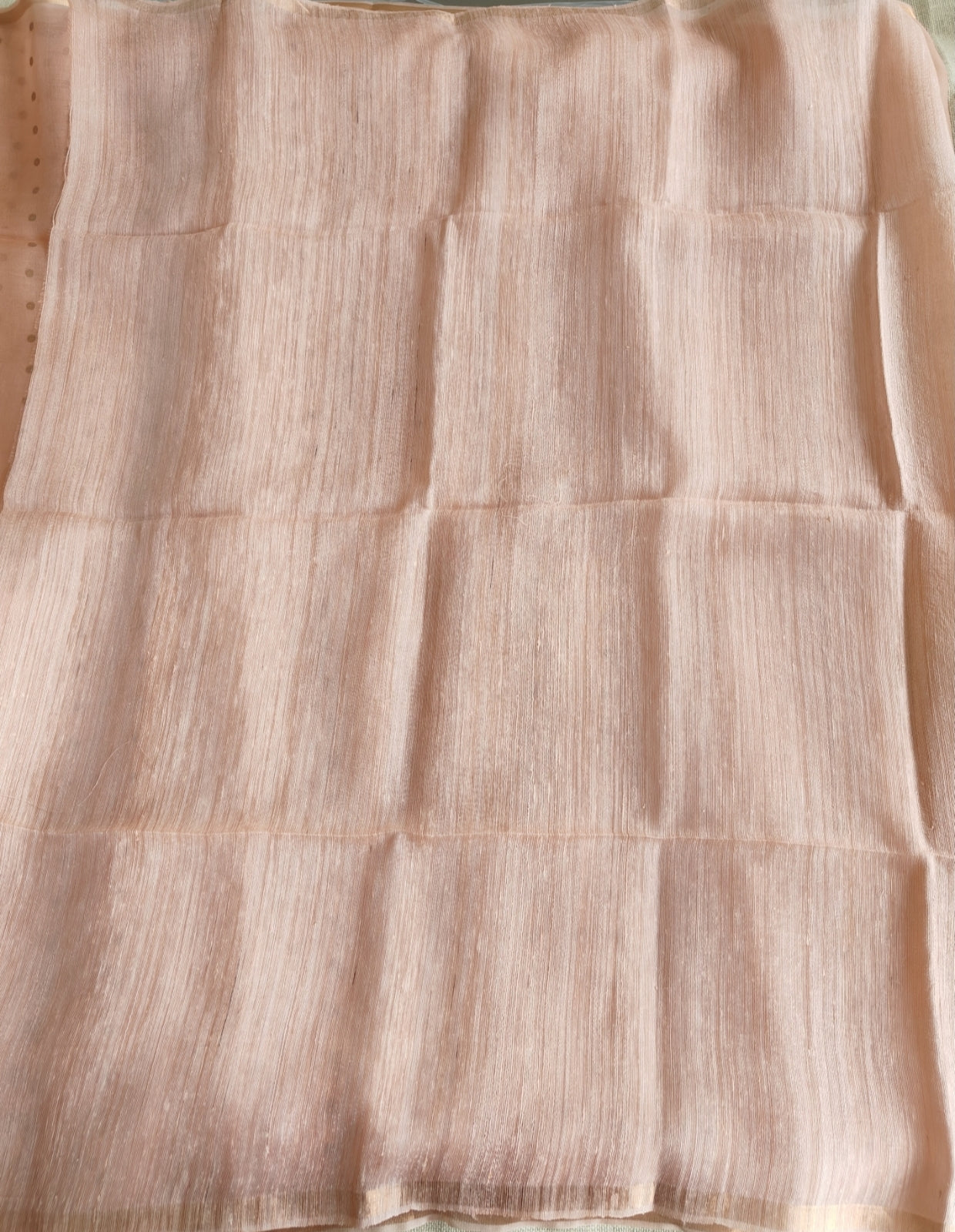 Blush Beige Pure Muslin Sequin Paithani Pallu Saree
