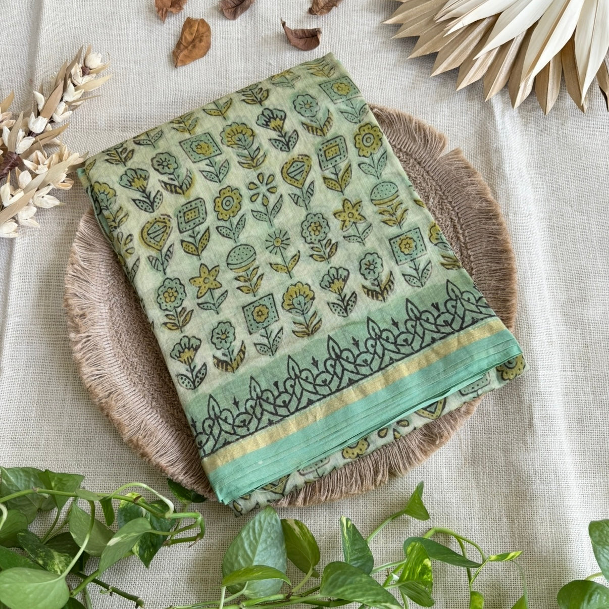 Pastel Green Pure Chanderi Silk Cotton Saree