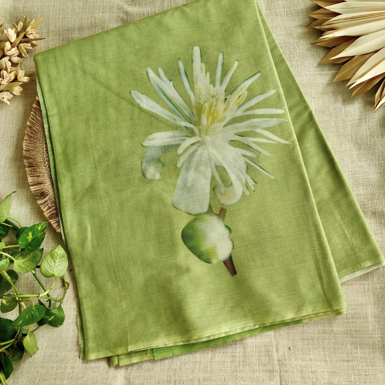 Olive Green Muslin Cotton Saree