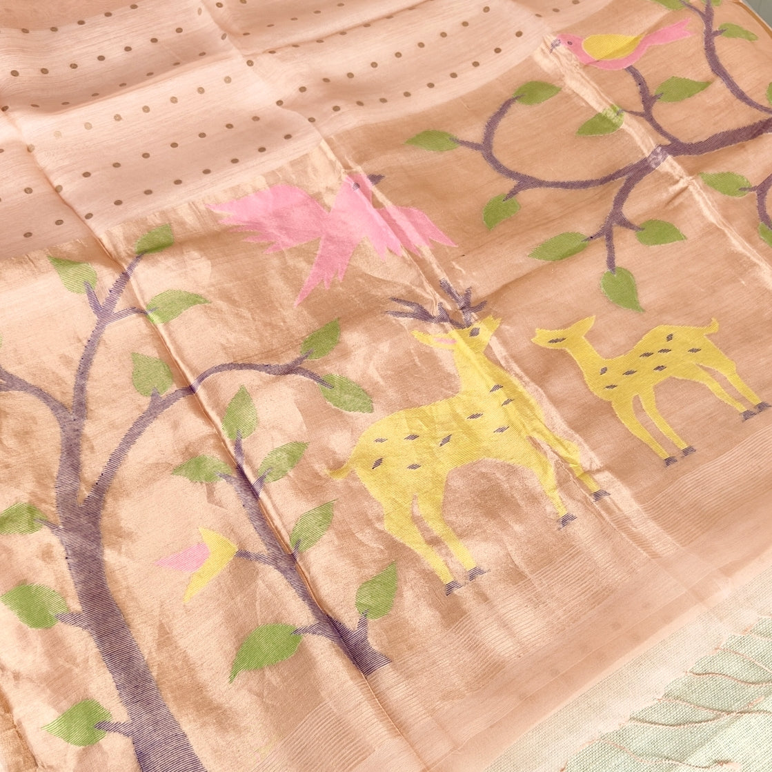 Blush Beige Pure Muslin Sequin Paithani Pallu Saree