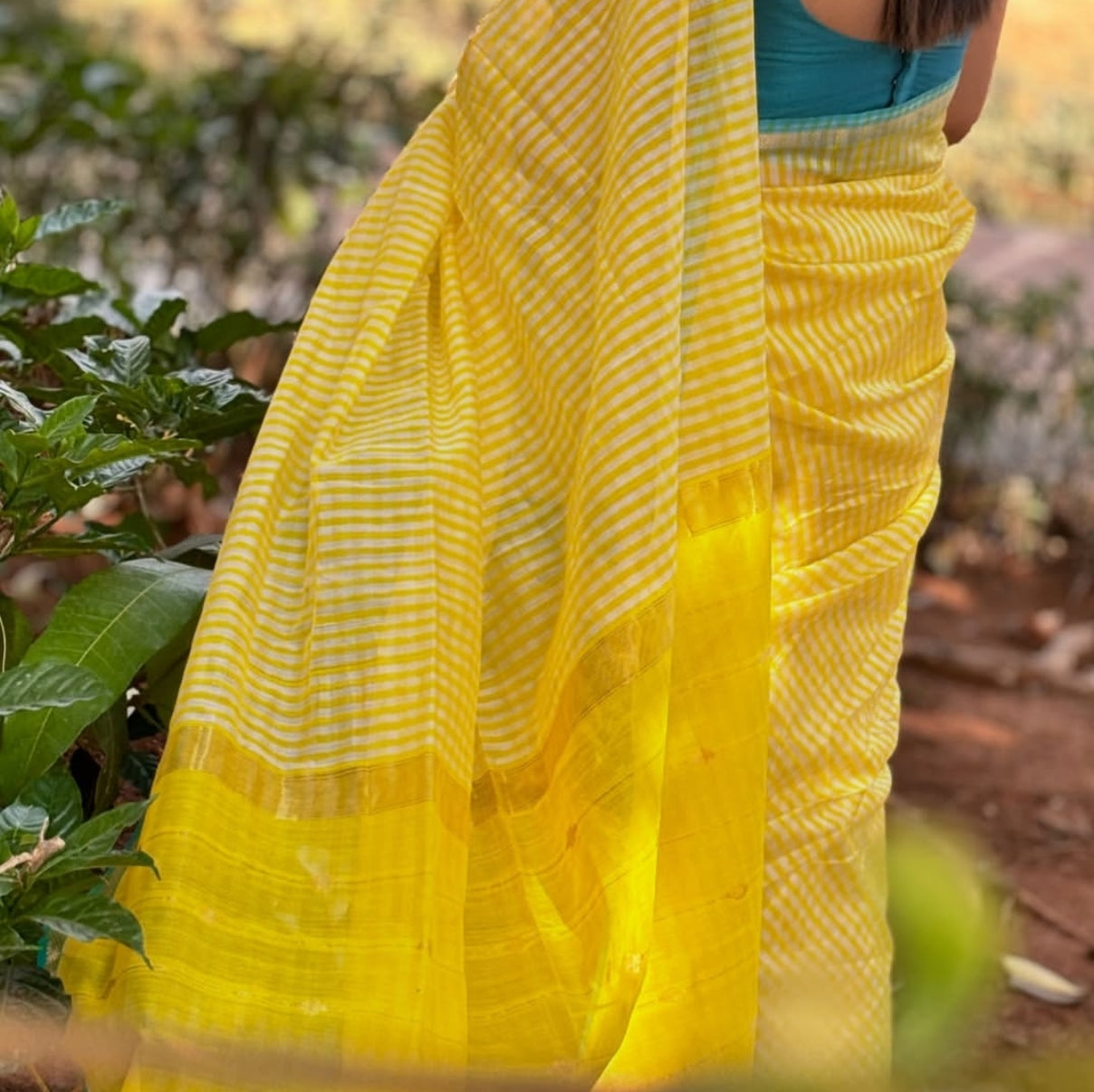 Sunshine Yellow with Blue Checked Maheshwari Silk Cotton Saree